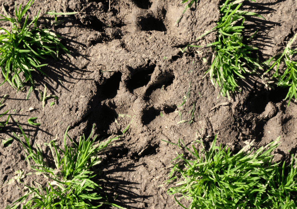dimanda laboratori in natura lissone biassono monza